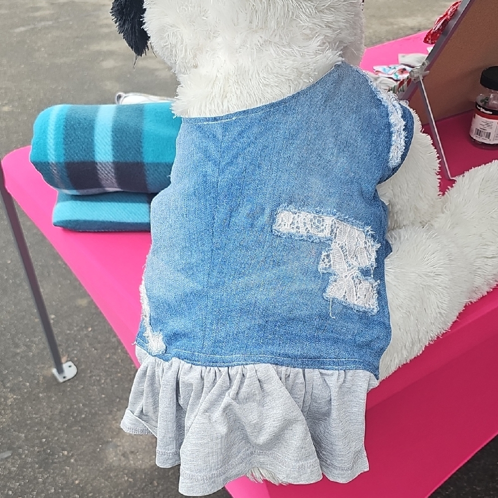 Chic Denim Dog Dress with Gray Ruffle